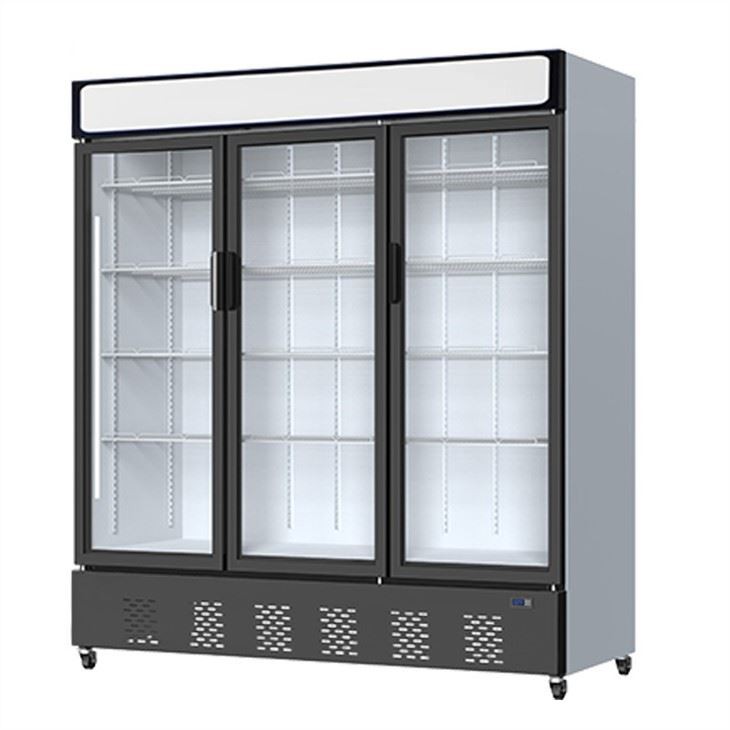 Glass Door Vertical Freezer