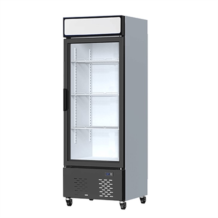 Glass Door Vertical Freezer